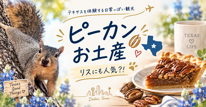 テキサス観光、テキサス生活、ピー乾杯、ピーカンクッキー、ピーカンチョコ、ダラス観光案内ガイド、リスのいる日常テキサス生活